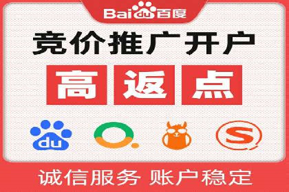 案例分析：SEM广告助力电商行业突破